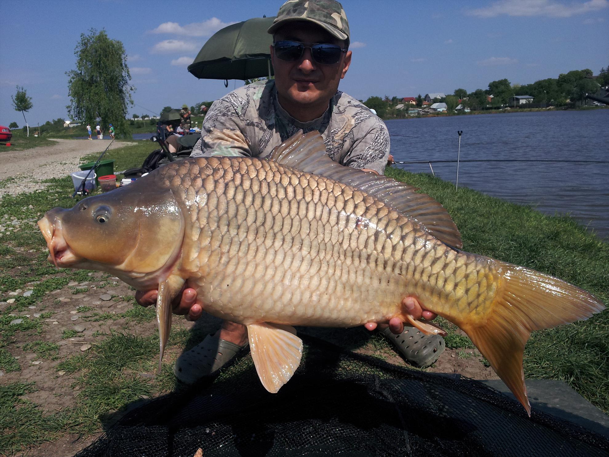 Moara Vlasiei - 20130506152204.jpg